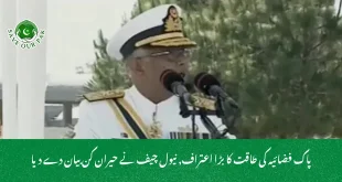 پاک فضائیہ کی طاقت کا بڑا اعتراف, نیول چیف نے حیران کن بیان دے دیا