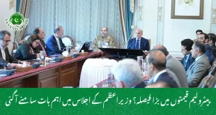  پیٹرولیم قیمتوں میں بڑا فیصلہ؟ وزیراعظم کے اجلاس میں اہم بات سامنے آ گئی