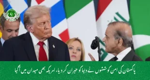پاکستان کی امن کوششوں نے دنیا کو حیران کر دیا، امریکہ بھی میدان میں آگیا