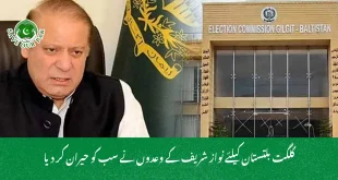 گلگت بلتستان کیلئے نواز شریف کے وعدوں نے سب کو حیران کر دیا