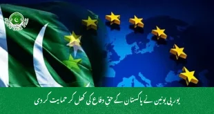 یورپی یونین نے پاکستان کے حقِ دفاع کی کھل کر حمایت کر دی